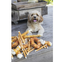 Chien allongé à côté de friandises pour chiens sur une terrasse en bois