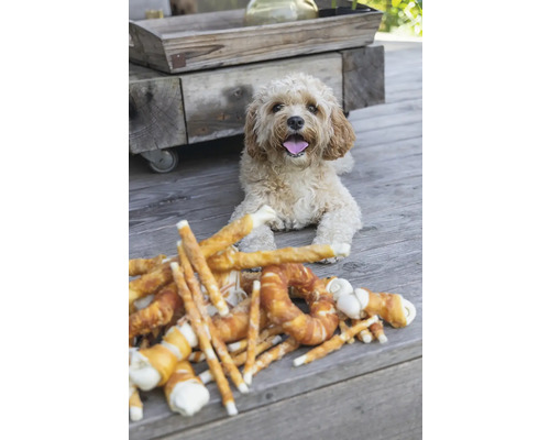 Chien allongé à côté de friandises pour chiens sur une terrasse en bois
