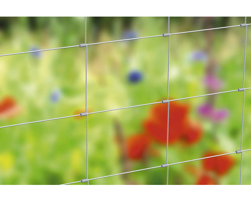 Detailansicht eines Knotengeflechts im Gartenbereich