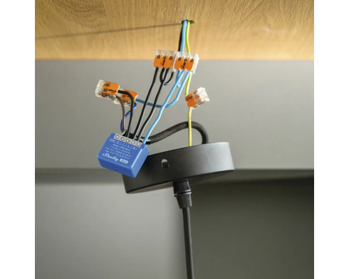 Câblage d''une lampe avec des bornes Wago et un module Shelly