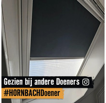 Fenêtre de toit avec store enrouleur et store plissé pour protection solaire