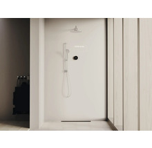 Cabine de douche avec pomme de tête, douchette et commande