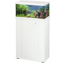 Aquarium avec meuble bas et aménagement intérieur