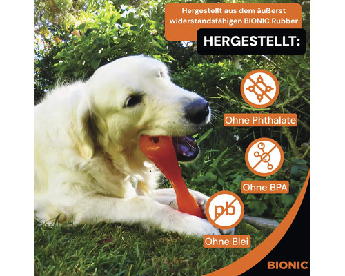 Golden Retriever mit Bionic Hundespielzeug aus Gummi im Maul