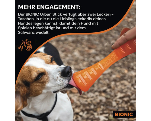 Ein Hund leckt an einem orangefarbenen Bionic Urban Stick Hundespielzeug.