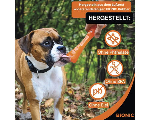 Ein Hund leckt an einem Spielzeugknochen der Marke Bionic, hergestellt aus widerstandsfähigem Gummi, ohne Phthalate, BPA und Blei.