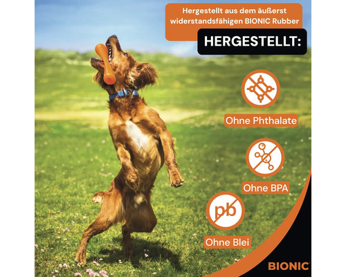 Hund mit Spielzeug aus robustem Bionic Rubber. Das Spielzeug ist frei von Phthalaten, BPA und Blei.