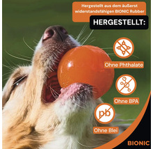 Jouet pour chien BIONIC Ball, 6,7 cm extrêmement résistant, flottant, sans plomb, phtalate ni BPA