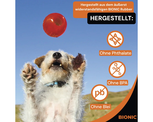 Ein Hund springt nach einem roten Bionic Gummiball. Das Produkt ist ohne Phthalate, BPA und Blei. Bionic Logo.