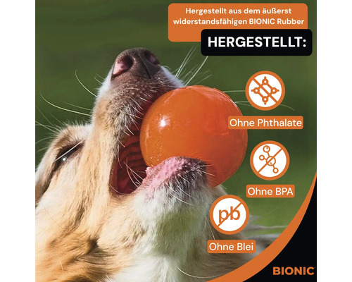 Hund mit Spielball im Maul. Der Ball ist frei von Phthalaten, BPA und Blei. Bionic Logo