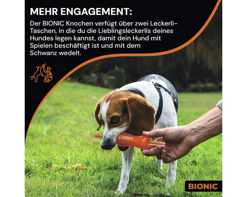 Hund mit Bionic Knochen zum Befüllen mit Hundeleckerlis