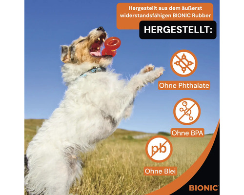 Hund spielt mit Spielzeug aus Bionic Rubber, hergestellt ohne Phthalate, BPA und Blei.