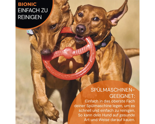 Zwei Hunde spielen mit einem roten Bionic Hundespielzeug in Form eines Lenkrads. Das Spielzeug ist spülmaschinengeeignet.