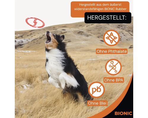 Hund springt, um Bionic Frisbee zu fangen. Frei von Phthalaten, BPA und Blei.