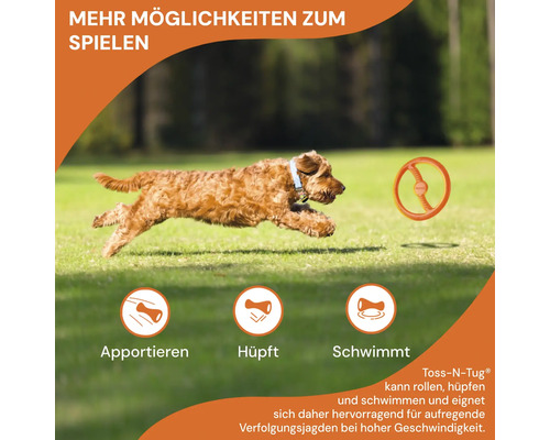Hundespielzeug Toss-N-Tug in Aktion mit apportierendem Hund auf einer Wiese
