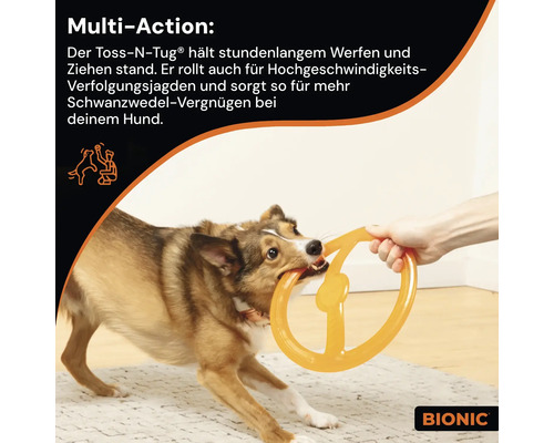 Ein Hund spielt mit einem orangefarbenen Bionic Toss-N-Tug Hundespielzeug