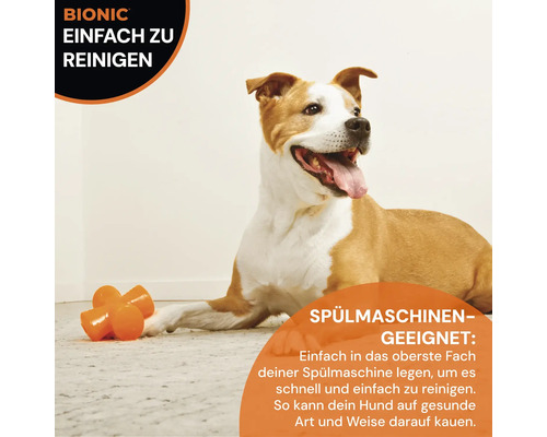 Hund mit robustem Hundespielzeug, spülmaschinengeeignet und leicht zu reinigen