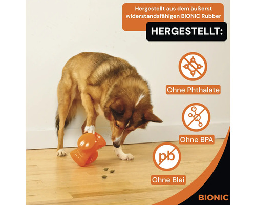 Ein Hund untersucht ein oranges Hundespielzeug aus Bionic-Rubber, das Phthalat-, BPA- und bleifrei ist.