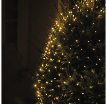 Baum mit dekorativer Lichterkette für den Aussenbereich