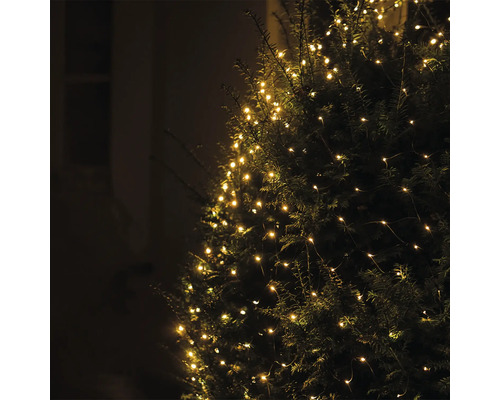 Baum mit dekorativer Lichterkette für den Aussenbereich