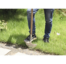 Person mit Unkrautstecher im Rasen.