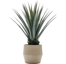 Agave artificielle dans un pot