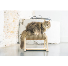 Chat sur un grattoir en corde et en bois