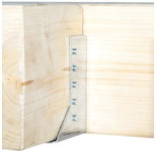 Connecteur de bois métallique fixé avec des vis à deux pièces de bois