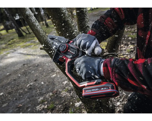 Une personne utilise une tronçonneuse à batterie Einhell pour couper une branche.