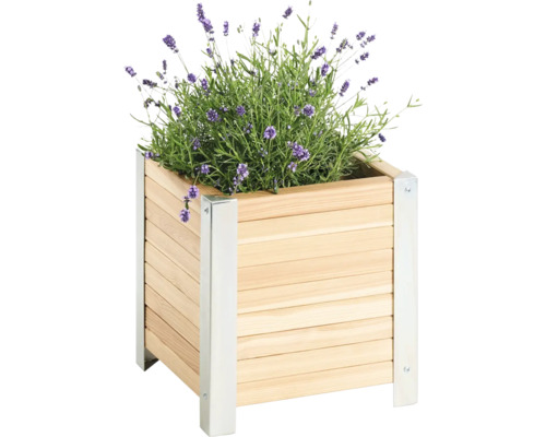 Holzpflanzkasten mit Lavendel