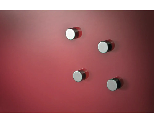 Vier zylinderförmige Magnete