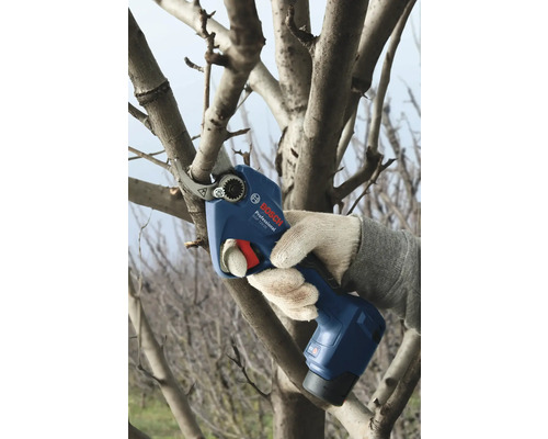 Bedienung einer Akku-Gartenschere beim Beschneiden eines Astes