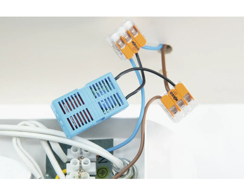 Elektroinstallation mit blauer Lüsterklemme und Verbindungsklemmen