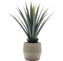 Künstliche Agave in Topf für die Inneneinrichtung
