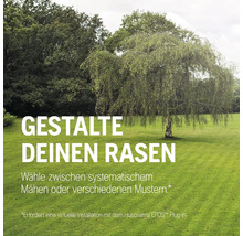 Gepflegter Rasen mit Baum im Garten