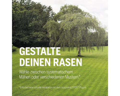 Gepflegter Rasen mit Baum im Garten