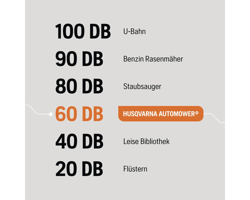 Vergleich der Lautstärke in Dezibel von U-Bahn, Benzinrasenmäher, Staubsauger, Husqvarna Automower, leiser Bibliothek und Flüstern