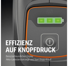 Anzeige mit Batteriestandsanzeige und Start-Stopp-Knopf