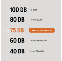 Dezibel Vergleichsgrafik: U-Bahn 100 DB, Staubsauger 80 DB, Akku Astsäge Aspire P5 75 DB, Normales Gespräch 60 DB, Leise Bibliothek 40 DB