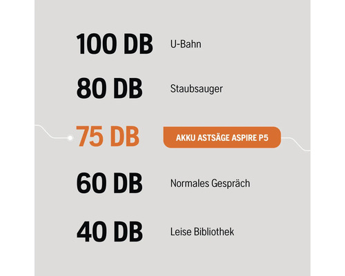 Graphique comparatif des décibels : Métro 100 dB, aspirateur 80 dB, tronçonneuse à batterie Aspire P5 75 dB, conversation normale 60 dB, bibliothèque calme 40 dB