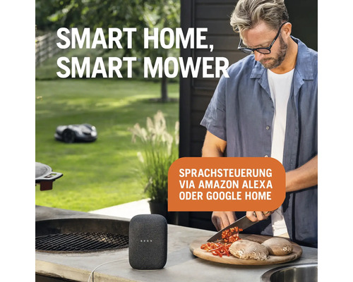"Szene mit Smart Home Lautsprecher und Rasenmähroboter im Garten