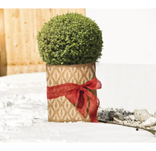 Buis artificiel en pot décoratif avec ruban