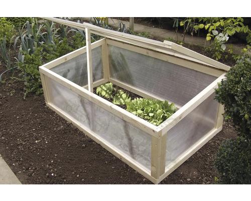 Frühbeet aus Holz und Kunststoff im Gartenbeet mit Salatpflanzen