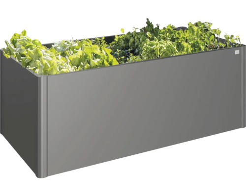 Jardinière surélevée avec salade et herbes aromatiques