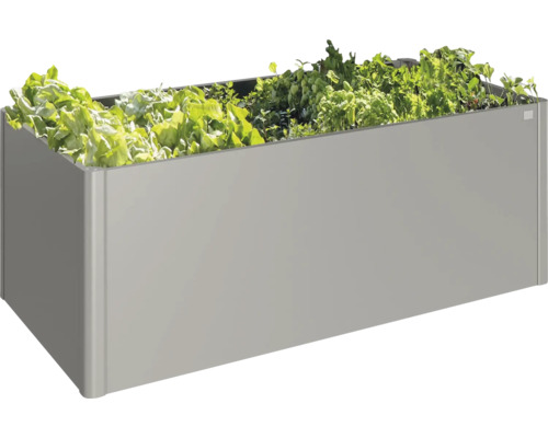 Jardinière rectangulaire grise avec salade et herbes aromatiques