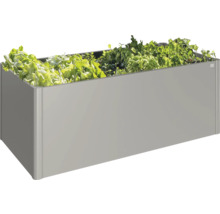 Jardinière surélevée en métal avec plantation de salade