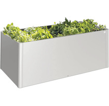Jardinière surélevée avec salade et herbes aromatiques