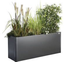 Jardinière rectangulaire avec différentes herbes et plantes