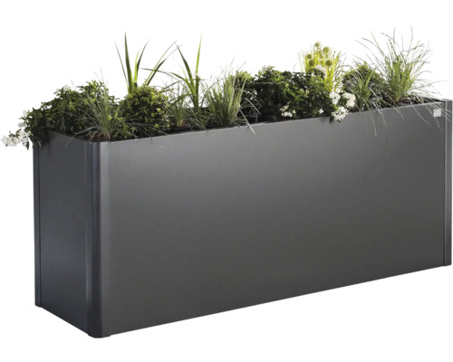 Jardinière rectangulaire avec plantation
