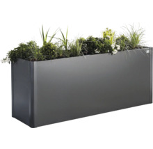 Jardinière rectangulaire en métal avec plantation